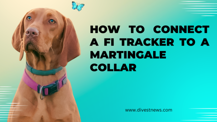 How to Connect a Fi Tracker to a Martingale Collar