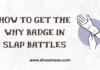 How to Get the Why Badge in Slap Battles