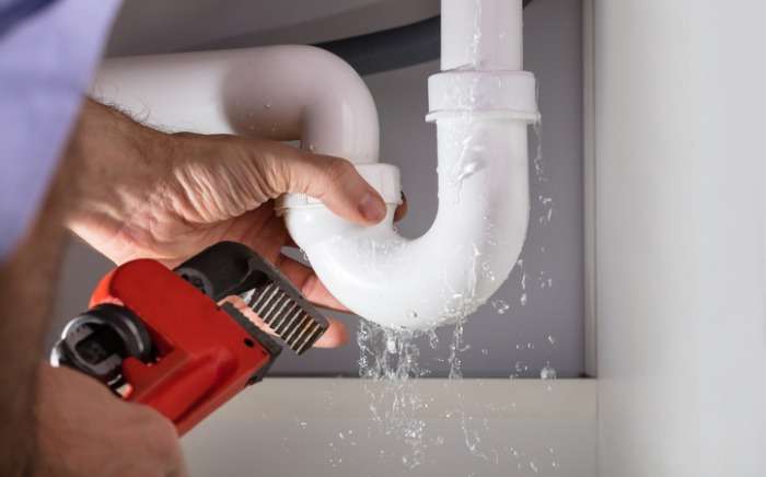 Rapid Response: The Role of Emergency Plumbers in the Tampa Bay Area