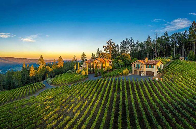 Exploring Opportunities: Wineries for Sale in California