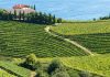 wineries for sale in California