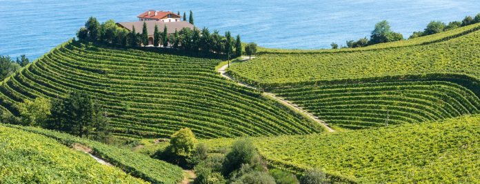 wineries for sale in California