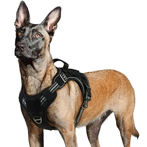 Training Your K9 Partner with a Purpose-Built Harness