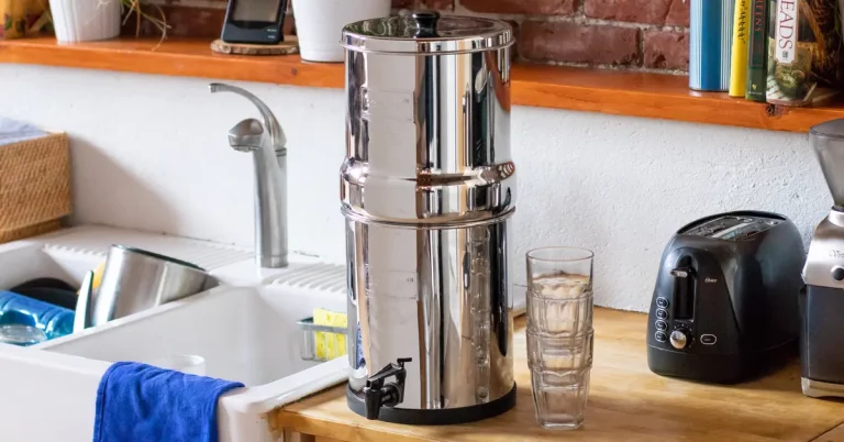 Berkey Water Filtration: Elevating Water Purity to New Heights