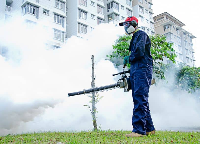 The Best Pest Control Companies in Singapore: Reliable Solutions for Every Need