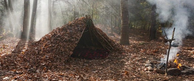 Bushcraft Shelter Building