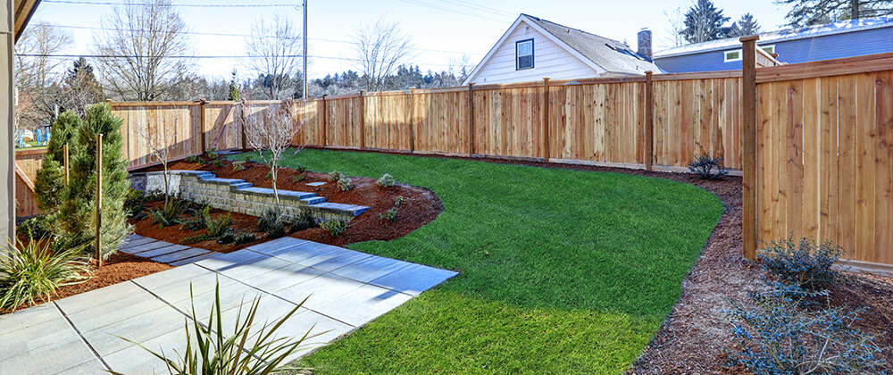 landscaping renovations