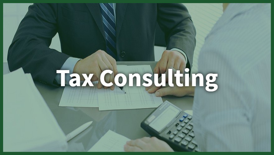 Tax Consulting